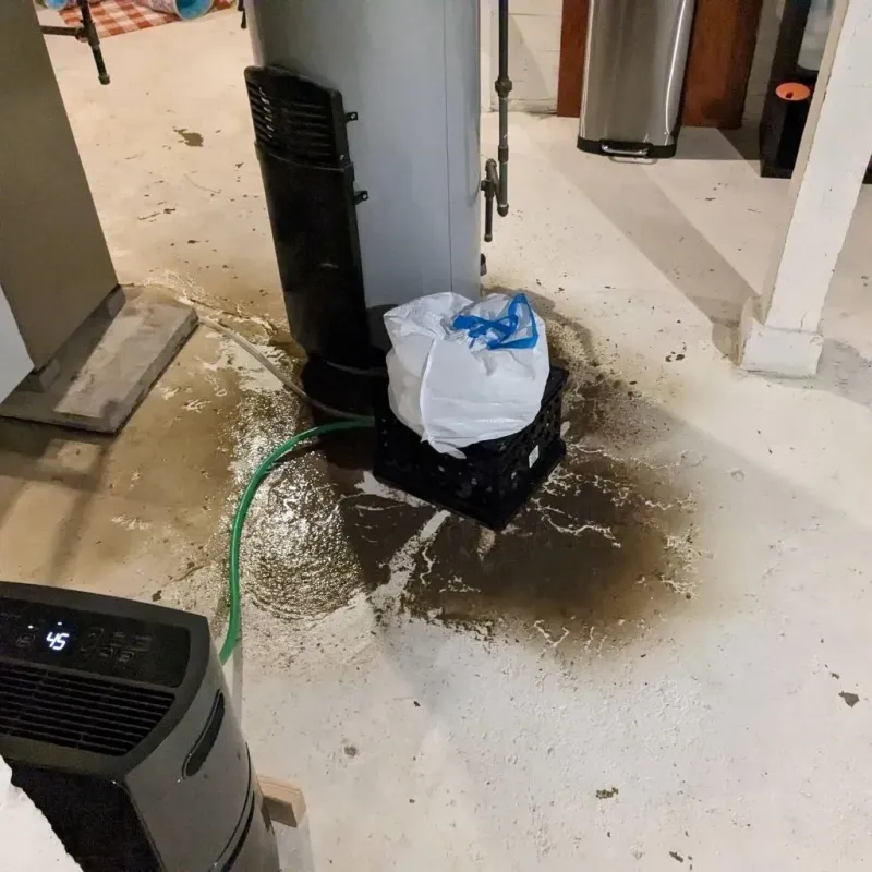 Sewage Backup Cleanup Service in Fredericktown, MO